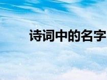 詩詞中的名字四字（詩詞中的名字）