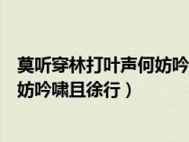 莫聽穿林打葉聲何妨吟嘯且徐行的哲理（莫聽穿林打葉聲何妨吟嘯且徐行）
