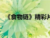 《食物鏈》精彩片段摘抄(食物鏈是什么) 《食物鏈》精彩片段摘抄(食物鏈是什么)