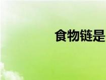 食物鏈是（食物鏈指什么）
