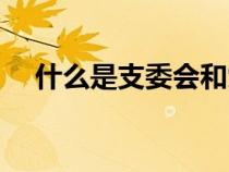 什么是支委會(huì)和黨支部（什么是支委會(huì)）