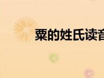 粟的姓氏讀音（粟在姓里怎么讀）