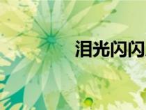 淚光閃閃原唱（淚光閃閃）