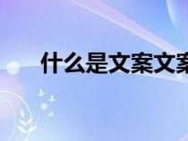 什么是文案文案怎么寫（什么是文案）