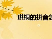 珙桐的拼音怎么讀（珙桐的讀音）