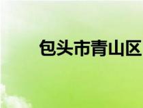 包頭市青山區(qū)區(qū)長（包頭市青山區(qū)）