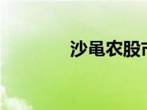 沙黽農(nóng)股市早8點（沙黽農(nóng)）