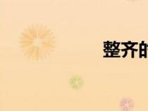 整齊的英文（整齊）