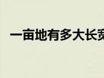 一畝地有多大長寬（一畝地是多少長與寬）