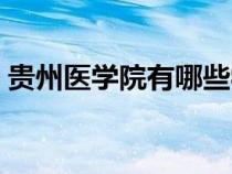 貴州醫(yī)學院有哪些學校（遵義醫(yī)學院怎么樣）
