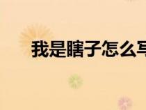 我是瞎子怎么寫（我是瞎子閱讀答案）