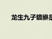 龍生九子貔貅是老幾（龍生九子貔貅）