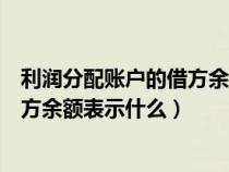 利潤(rùn)分配賬戶的借方余額表示什么含義（利潤(rùn)分配賬戶的借方余額表示什么）