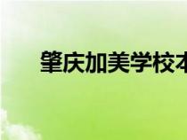 肇慶加美學校本科率（肇慶加美學校）