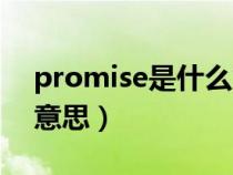 promise是什么意思英語（promise是什么意思）