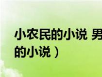 小農(nóng)民的小說 男主角姓王的有哪些（小農(nóng)民的小說）