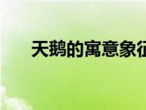 天鵝的寓意象征著什么（天鵝的寓意）