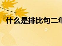 什么是排比句二年級下冊（什么是排比句）