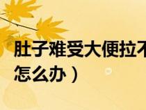 肚子難受大便拉不出來(lái)怎么辦（大便拉不出來(lái)怎么辦）