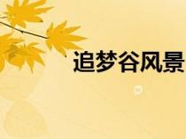 追夢谷風(fēng)景區(qū)游后感（追夢谷）