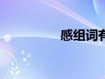 感組詞有哪些（感組詞）