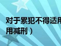 對于累犯不得適用緩刑和假釋（對于累犯不適用減刑）