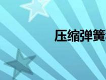 壓縮彈簧種類（彈簧種類）