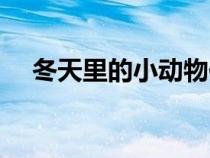 冬天里的小動(dòng)物作文（冬天里的小動(dòng)物）