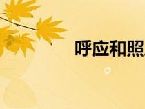 呼應(yīng)和照應(yīng)的區(qū)別(呼應(yīng)) 呼應(yīng)和照應(yīng)的區(qū)別(呼應(yīng))