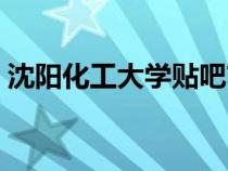 沈陽化工大學(xué)貼吧首頁（沈陽化工大學(xué)貼吧）