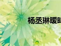 楊丞琳曖昧歌詞（曖昧歌詞）