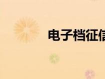 電子檔征信怎么查（電子檔）