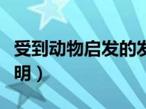 受到動(dòng)物啟發(fā)的發(fā)明作文(受到動(dòng)物啟發(fā)的發(fā)明) 受到動(dòng)物啟發(fā)的發(fā)明作文(受到動(dòng)物啟發(fā)的發(fā)明)