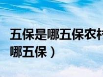 五保是哪五保農(nóng)村兩女戶算五保戶嗎（五保是哪五保）