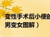 變性手術(shù)后小便的感受男變女知乎(變性手術(shù)男變女圖解) 變性手術(shù)后小便的感受男變女知乎(變性手術(shù)男變女圖解)