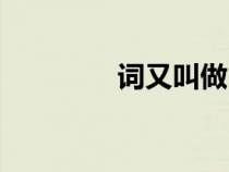 詞又叫做（詞又稱什么詞）