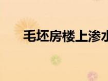 毛坯房樓上滲水對房子的影響（毛坯）