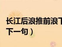 長江后浪推前浪下一句搞笑（長江后浪推前浪下一句）