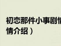 初戀那件小事劇情介紹結(jié)局（初戀那件小事劇情介紹）