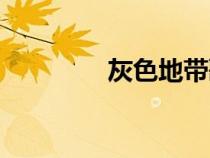 灰色地帶歌曲（灰色地帶）