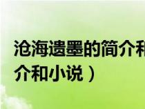 滄海遺墨的簡(jiǎn)介和小說的區(qū)別（滄海遺墨的簡(jiǎn)介和小說）
