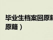 畢業(yè)生檔案回原籍是什么意思（畢業(yè)生檔案回原籍）