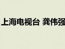 上海電視臺 龔偉強(qiáng)（上海主持人龔露被開除）