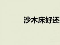 沙木床好還是松木床好（沙木）