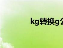 kg轉(zhuǎn)換g公式（kg轉(zhuǎn)換lbs）