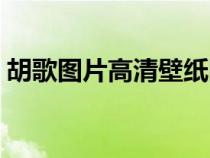 胡歌圖片高清壁紙圖片（胡歌圖片高清壁紙）