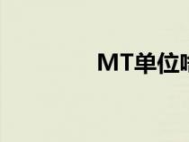 MT單位啥意思（mt單位）