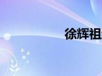 徐輝祖結(jié)局（徐輝祖）