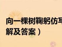 向一棵樹鞠躬仿寫作文（向一棵樹鞠躬閱讀理解及答案）