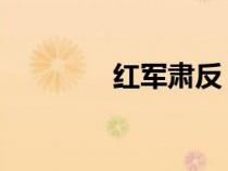 紅軍肅反 百科（紅軍肅反）